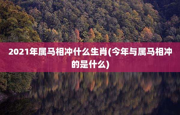 2021年属马相冲什么生肖(今年与属马相冲的是什么)