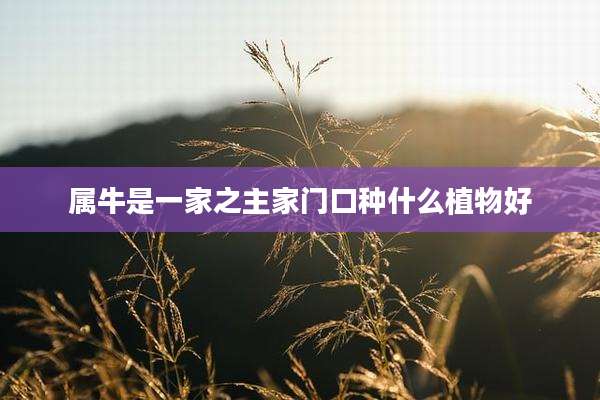 属牛是一家之主家门口种什么植物好