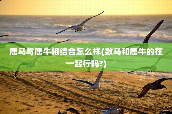 属马与属牛相结合怎么样(数马和属牛的在一起行吗?)