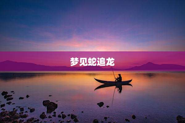 梦见蛇追龙