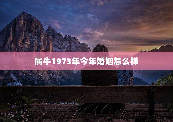 属牛1973年今年婚姻怎么样