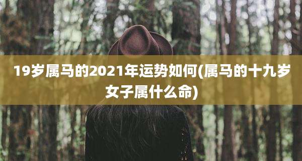 19岁属马的2021年运势如何(属马的十九岁女子属什么命)