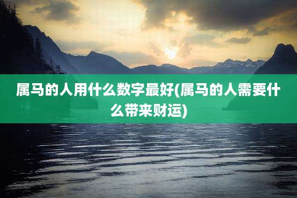 属马的人用什么数字最好(属马的人需要什么带来财运)