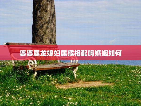 婆婆属龙媳妇属猴相配吗婚姻如何