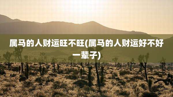 属马的人财运旺不旺(属马的人财运好不好一辈子)
