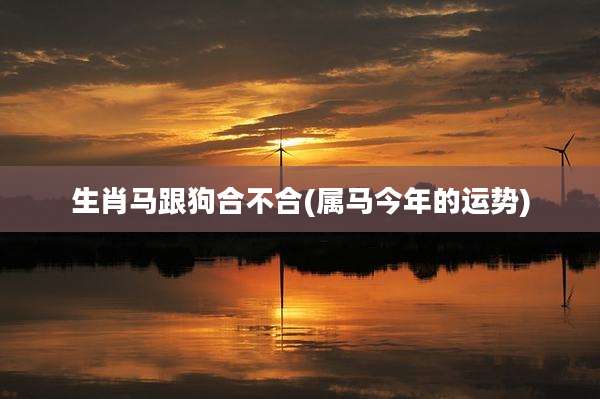 生肖马跟狗合不合(属马今年的运势)