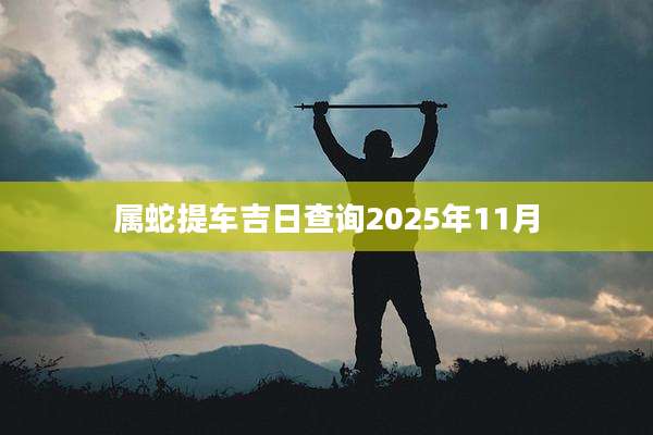 属蛇提车吉日查询2025年11月