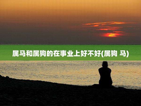属马和属狗的在事业上好不好(属狗 马)