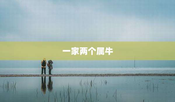 一家两个属牛