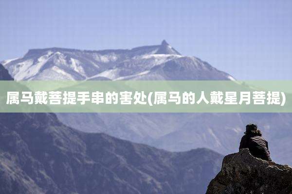 属马戴菩提手串的害处(属马的人戴星月菩提)