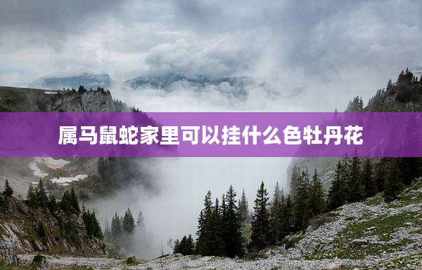 属马鼠蛇家里可以挂什么色牡丹花