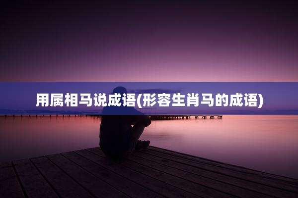 用属相马说成语(形容生肖马的成语)