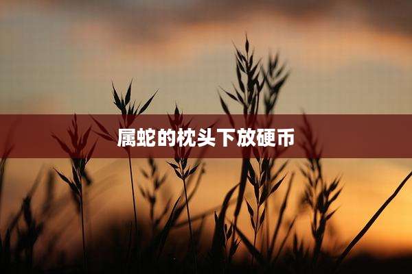 属蛇的枕头下放硬币