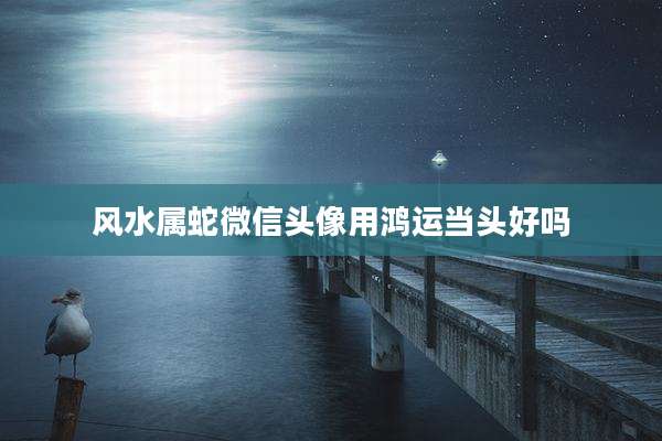 风水属蛇微信头像用鸿运当头好吗