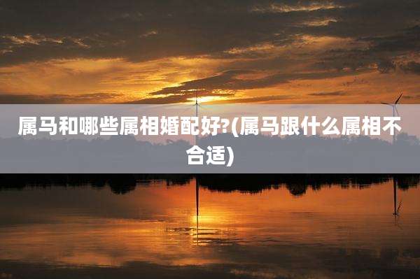 属马和哪些属相婚配好?(属马跟什么属相不合适)