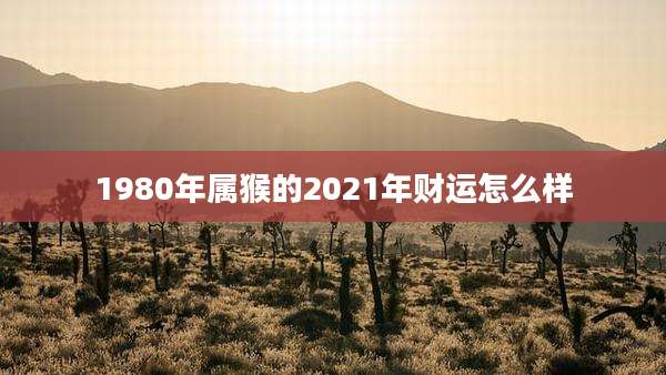 1980年属猴的2021年财运怎么样