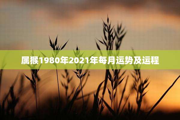 属猴1980年2021年每月运势及运程