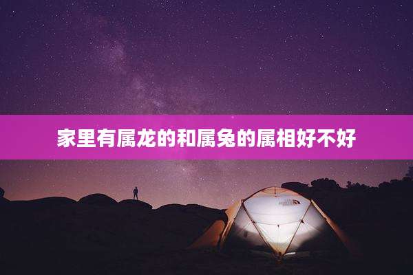 家里有属龙的和属兔的属相好不好