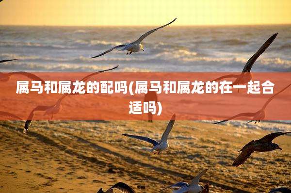 属马和属龙的配吗(属马和属龙的在一起合适吗)
