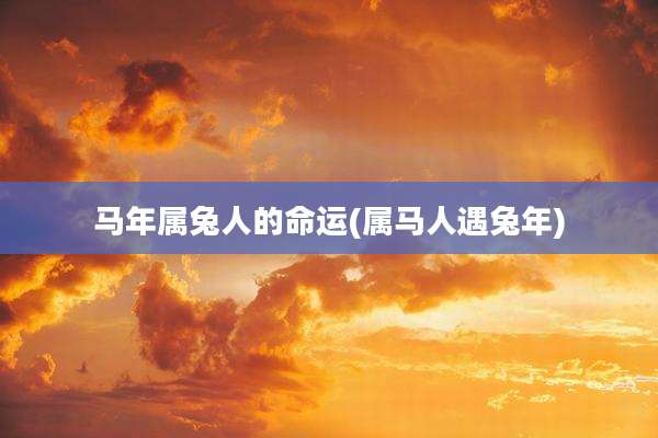 马年属兔人的命运(属马人遇兔年)