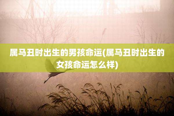 属马丑时出生的男孩命运(属马丑时出生的女孩命运怎么样)