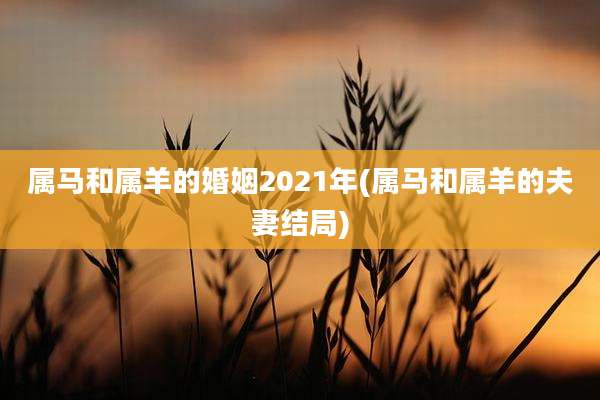 属马和属羊的婚姻2021年(属马和属羊的夫妻结局)