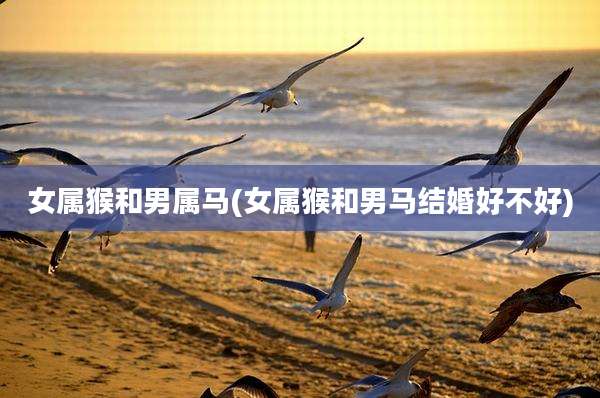 女属猴和男属马(女属猴和男马结婚好不好)