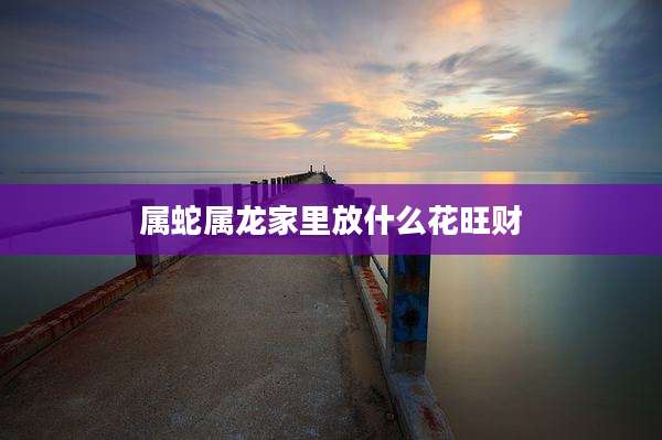 属蛇属龙家里放什么花旺财