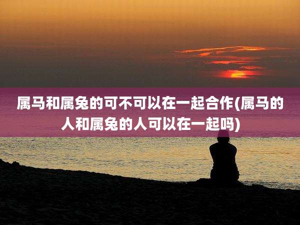 属马和属兔的可不可以在一起合作(属马的人和属兔的人可以在一起吗)