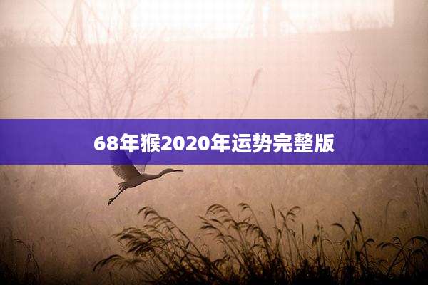 68年猴2020年运势完整版