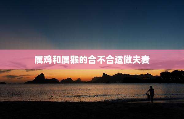 属鸡和属猴的合不合适做夫妻