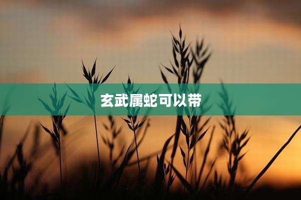 玄武属蛇可以带