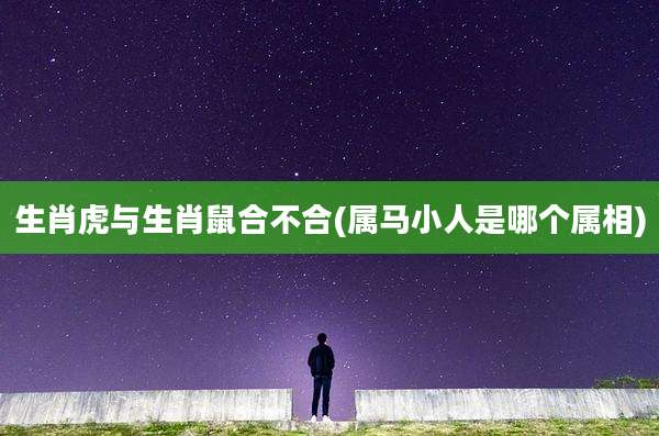 生肖虎与生肖鼠合不合(属马小人是哪个属相)