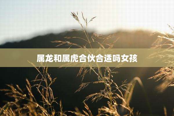 属龙和属虎合伙合适吗女孩