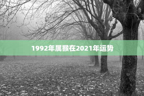 1992年属猴在2021年运势