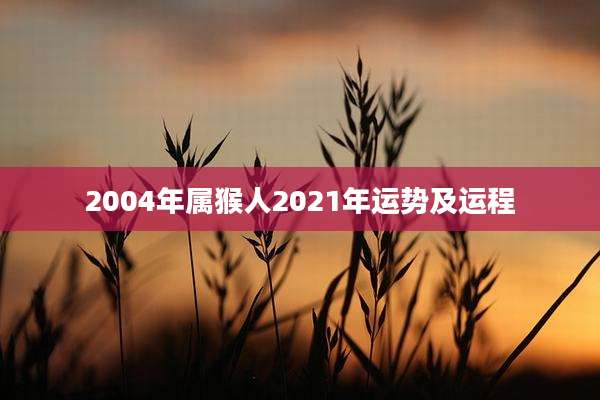 2004年属猴人2021年运势及运程