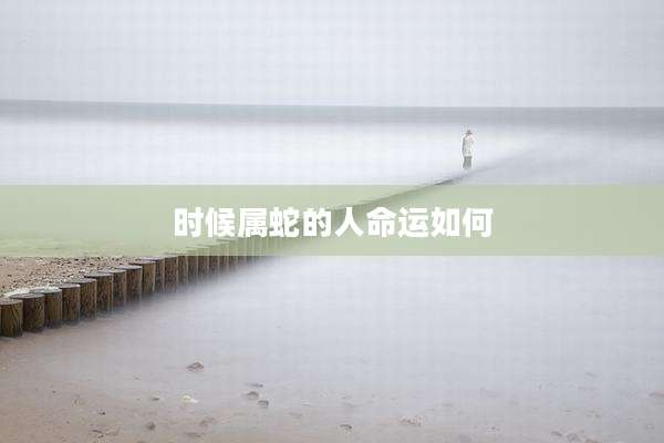 时候属蛇的人命运如何