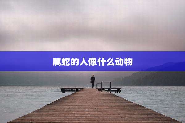 属蛇的人像什么动物