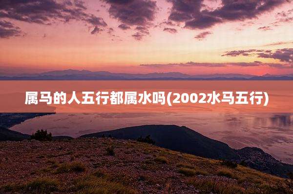 属马的人五行都属水吗(2002水马五行)