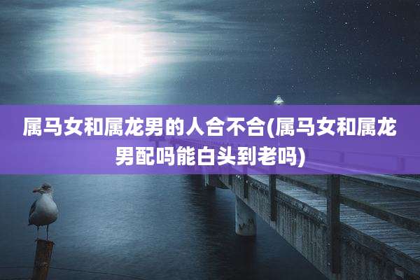 属马女和属龙男的人合不合(属马女和属龙男配吗能白头到老吗)