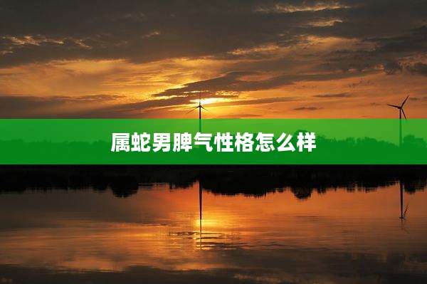 属蛇男脾气性格怎么样