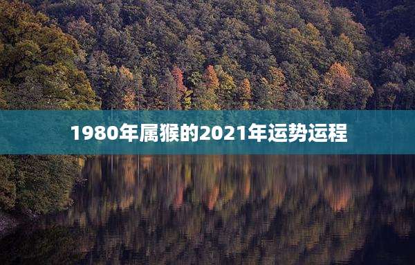 1980年属猴的2021年运势运程
