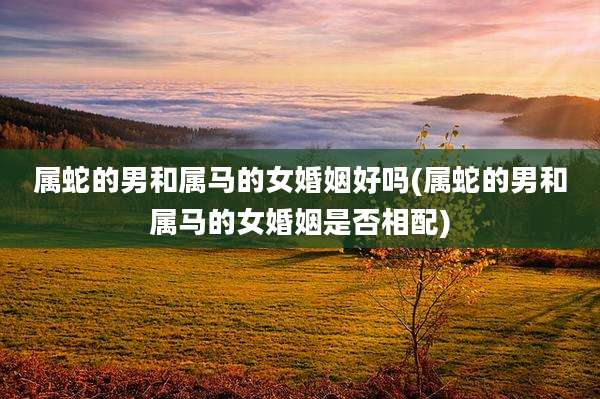 属蛇的男和属马的女婚姻好吗(属蛇的男和属马的女婚姻是否相配)