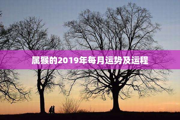 属猴的2019年每月运势及运程