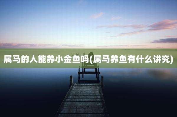 属马的人能养小金鱼吗(属马养鱼有什么讲究)