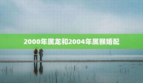 2000年属龙和2004年属猴婚配