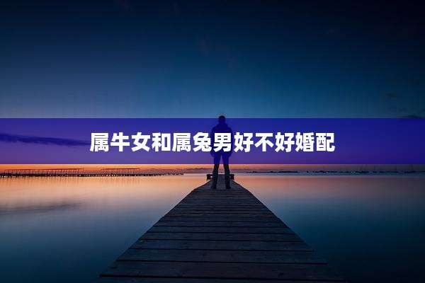 属牛女和属兔男好不好婚配