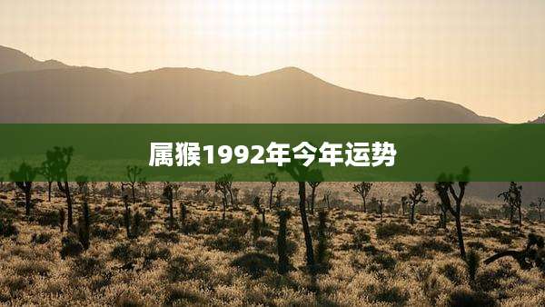 属猴1992年今年运势
