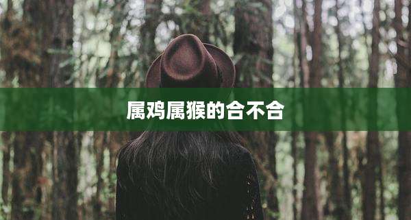 属鸡属猴的合不合