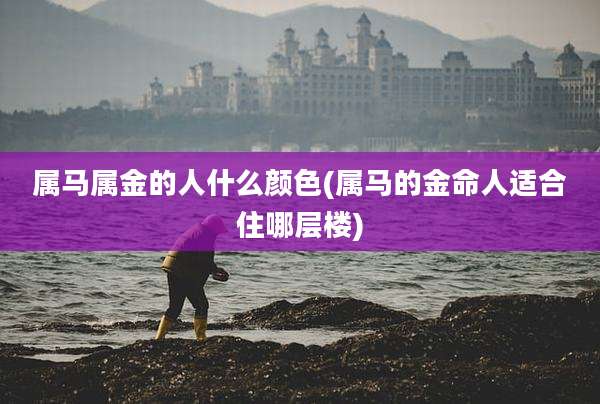 属马属金的人什么颜色(属马的金命人适合住哪层楼)